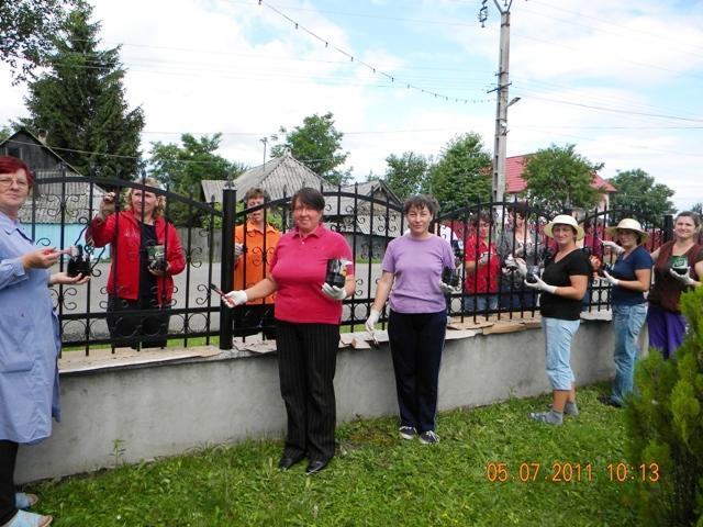 Gardul din fier forjat